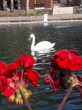 APARTMAN SONJA Zlatibor